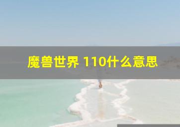 魔兽世界 110什么意思